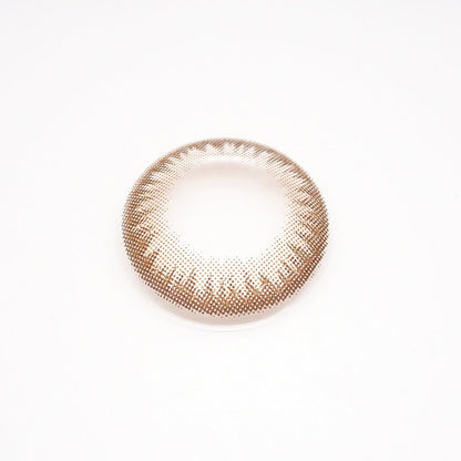 Choco Tart for astigmatism ｜M1437 - My ToricDMAXLOOK(N) SCL 23 Brown toric /1437