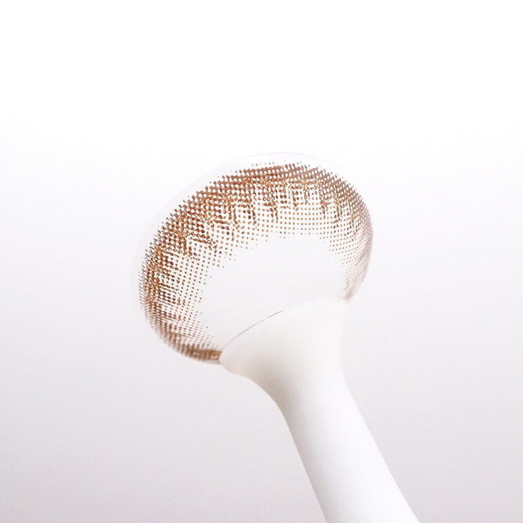 Choco Tart for astigmatism ｜M1437 - My ToricDMAXLOOK(N) SCL 23 Brown toric /1437