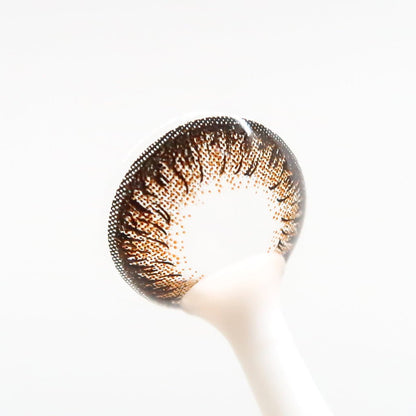 Espresso Tart colored contacts for Astigmatism ｜ M1623 - My ToricNEOVISION(N) DALI Extra Ⅱ BROWN 난시용/ 1623