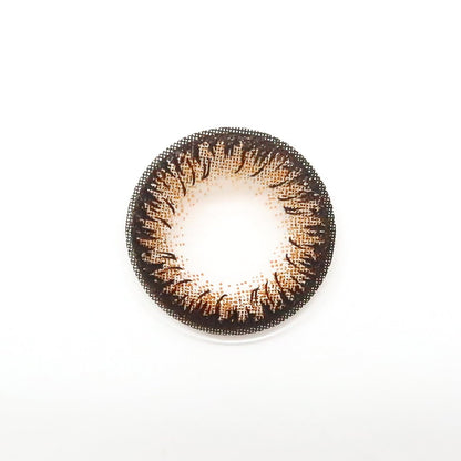 Espresso Tart colored contacts for Astigmatism ｜ M1623 - My ToricNEOVISION(N) DALI Extra Ⅱ BROWN 난시용/ 1623