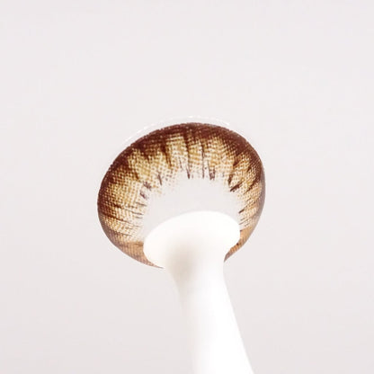 Maple Choco for astigmatism | M1270 - Japan colored contacts BS(N) / A132 Choco toric /1270