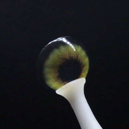 Olive Sherbet colored contacts for Astigmatism ｜ M1694 - My ToricDILEN (N) D027 Olive Toric [1694]