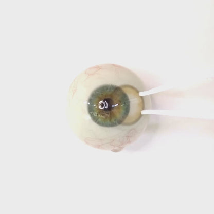 Sunny Tart for astigmatism | M1727
