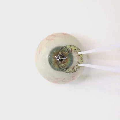 Sparkle Lemon for astigmatism | M1288