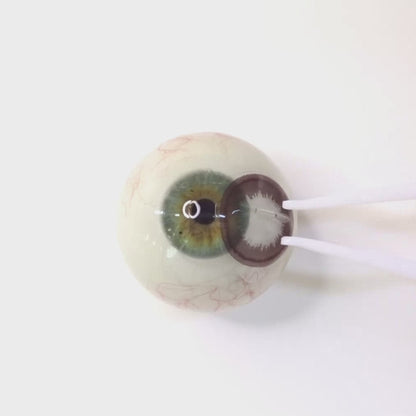 Classic Choco for Astigmatism ・Classic Choco｜M533