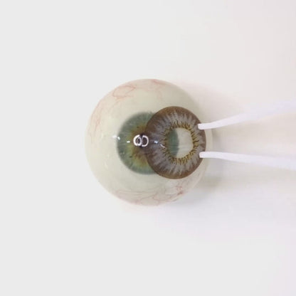 Crystal Hazel for Astigmatism | M1285