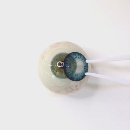Blue Soda for astigmatism | M1272
