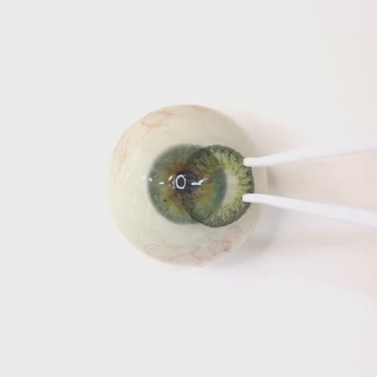 Pistachio Tart for Astigmatism | M1426