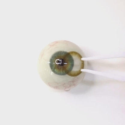 Vanilla Chiffon for Astigmatism | M1274
