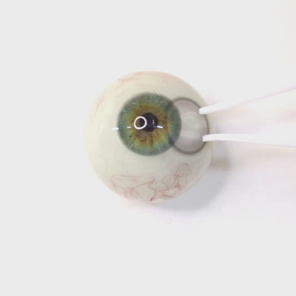 Silent Gray for astigmatism | M1894