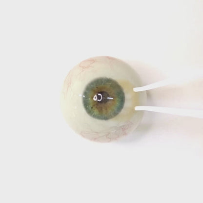 Mellow Butter for Farsightedness | F1533