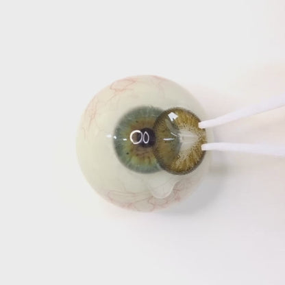 Amber Flame for astigmatism ・Amber Flame｜M827