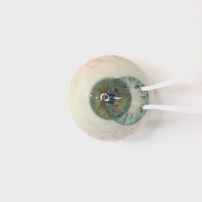 Mermaid Tear for astigmatism | M1291