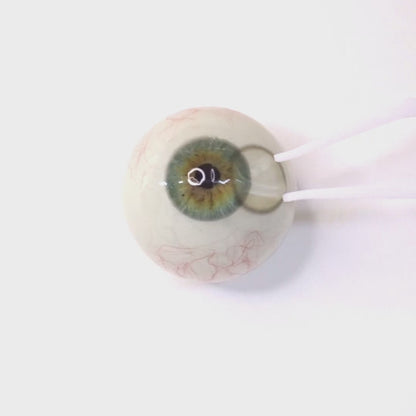 Nudy Beige For astigmatism | M1795