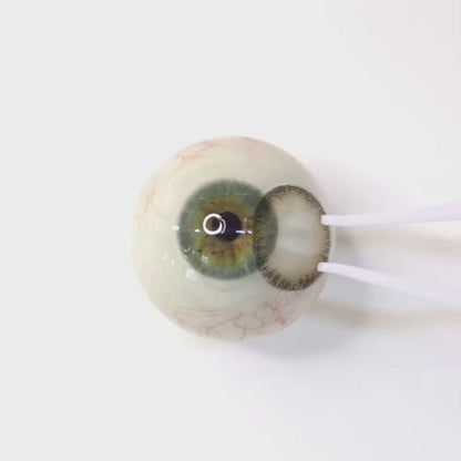 Cream Mocha for astigmatism | M1042