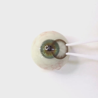 Ash Greige for astigmatism | M1278