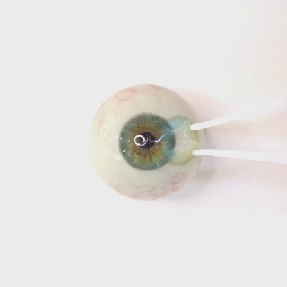 Mermaid Lagoon for astigmatism | M1696