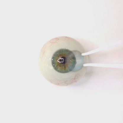Soda Float for Astigmatism ｜ M1695
