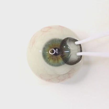 Foggy Ash for astigmatism | M1600