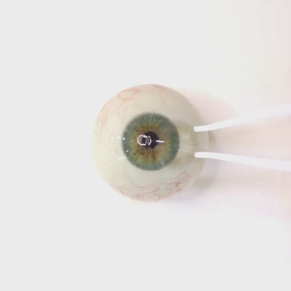 Moon Greige for astigmatism:｜ M1693