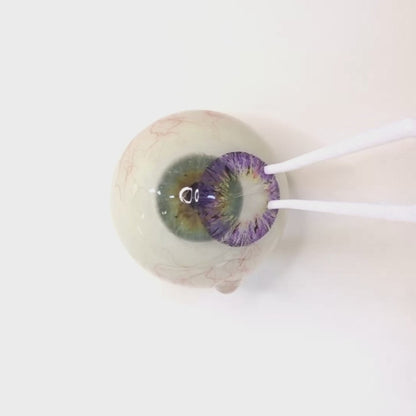 Lavender Syrup for Astigmatism | M1292