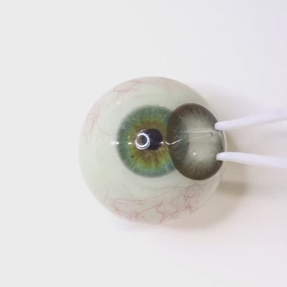 Pure Vail Gray for astigmatism | M289