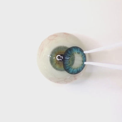 Mermaid Aqua for astigmatism | M1282