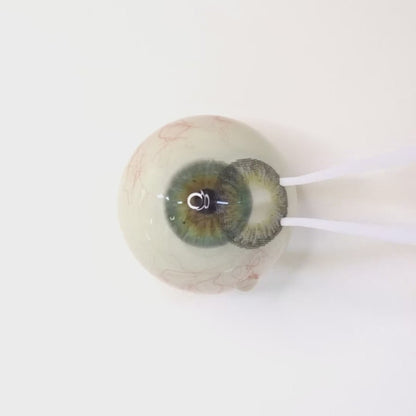 Earl Grey Tart for Astigmatism | M1427