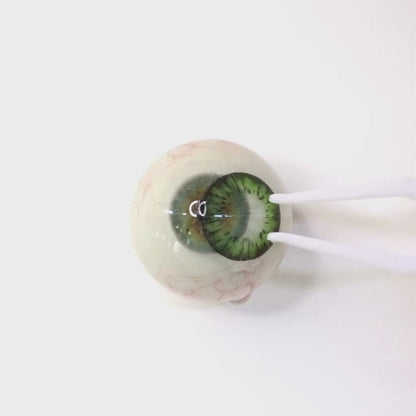 Matcha Tart for Astigmatism | M1273