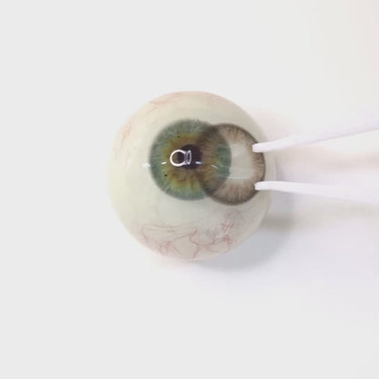 Chocolate Fondue for Astigmatism ｜ M1805