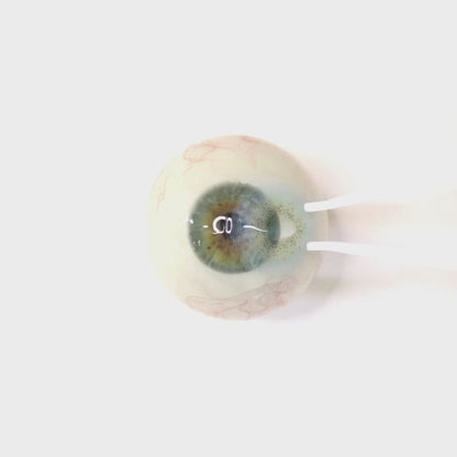 Soda Sherbet for Farsightedness ｜F1430