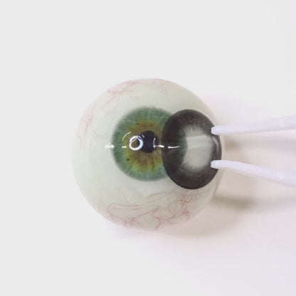 Smoky Muse for astigmatism ・Smoky Muse ｜ M538