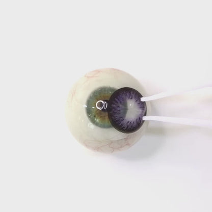 Twilight Lavender for Farsightedness｜ F1625