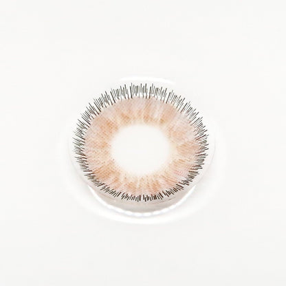 For astigmatism Spicy Amber ｜ M1553 - My ToricNEOVISION(N) / N347 Toric Brown / 1553