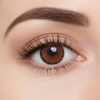 Maple Choco for Astigmatism | M1270