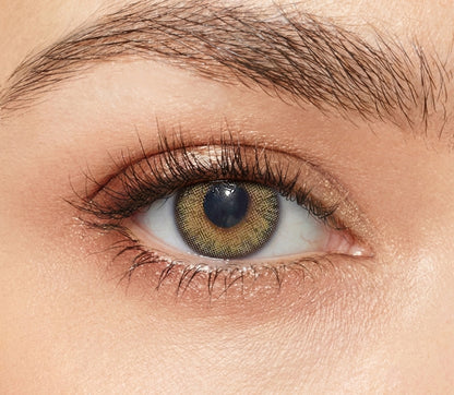 Olive Chiffon for Astigmatism ｜ M1628