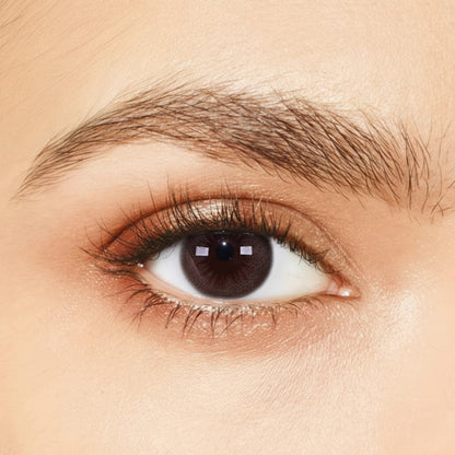 Cacao Chiffon for Astigmatism ｜ M1665